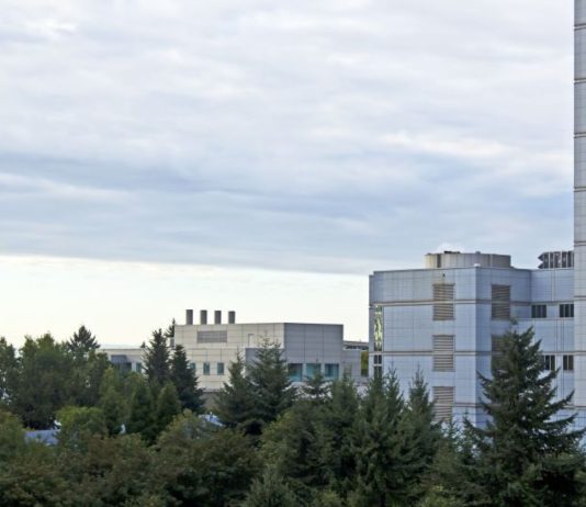 Eine Online Marketing Company bringt frischen Wind