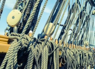 Suchmaschinen lieben professionelle Texte mit Mehrwert