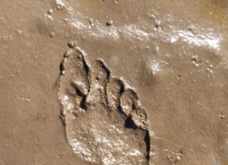 Profitiere vom Know-how der Online-Experten