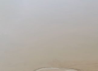 Vorhang auf für den neuen Online-Erfolg