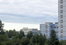 Eine Online Marketing Company bringt frischen Wind