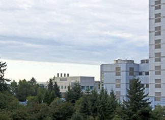 Eine Online Marketing Company bringt frischen Wind