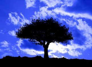 River Online weiß, was du im Online-Marketing brauchst