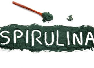 Hier findest du Algenprodukte in Bio-Qualität