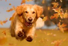 Neues Hobby gefunden