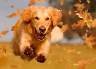 Neues Hobby gefunden