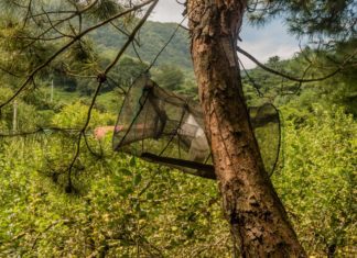 Smart Trap: Unruhestifter fangen-aber auf die smarte Weise!