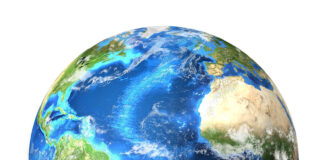 Gemälde, die die Vielfalt unseres Planeten einfangen