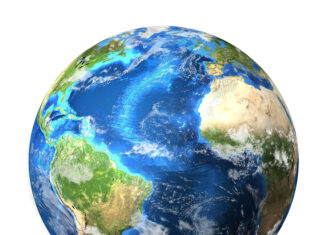 Gemälde, die die Vielfalt unseres Planeten einfangen